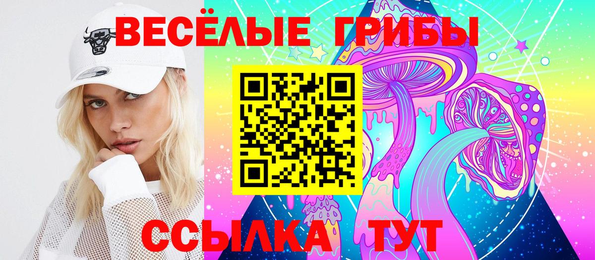 Галлюциногенные грибы GOLDEN TEACHER  Вход с VPN  Камышлов  Псилоцибиновые грибы GOLDEN TEACHER 
